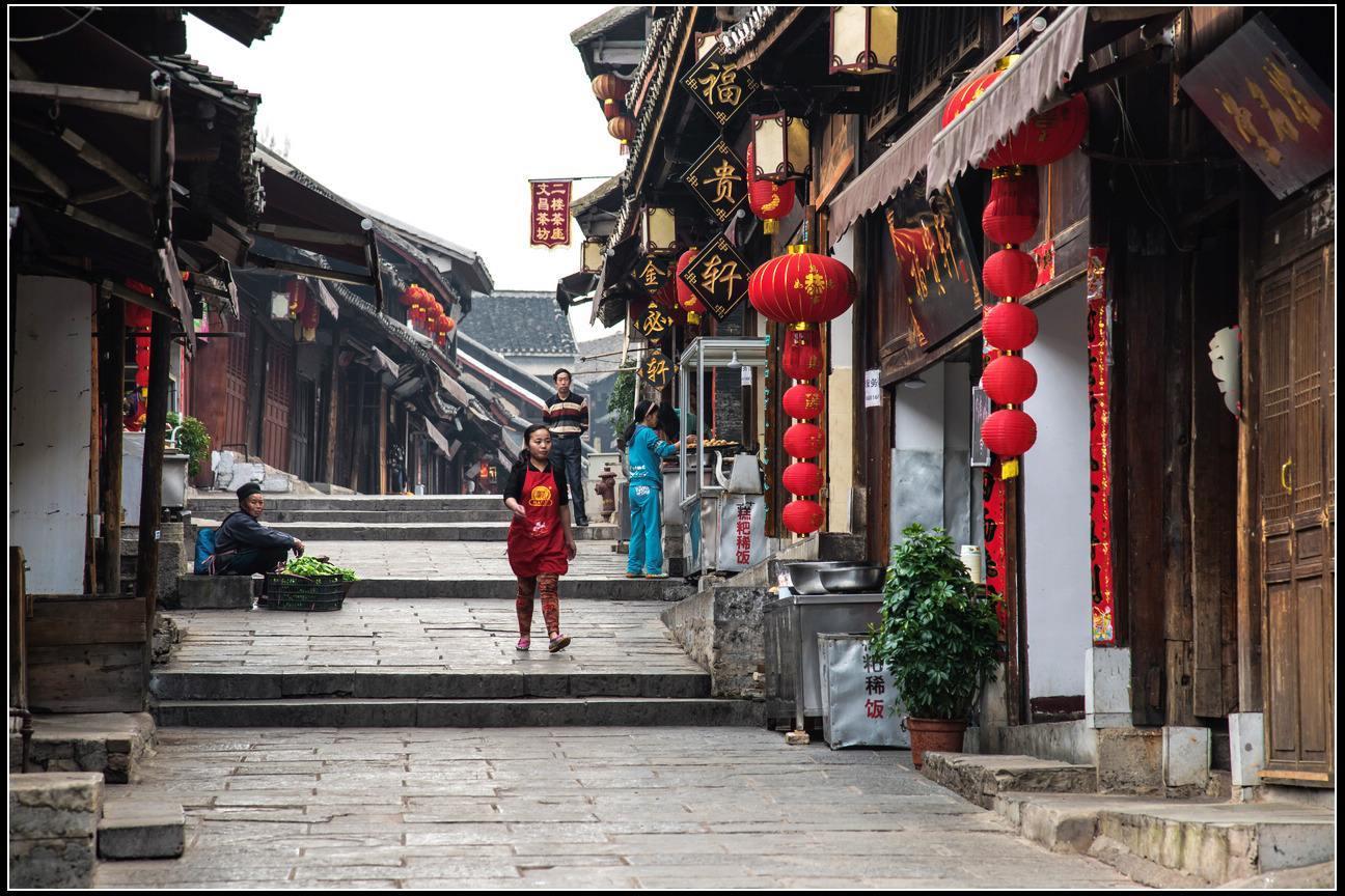 普洱茶如何冲才好喝知识星球平台,高质量知识共享社区